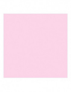 Filter Z717 Magenta CC (CC40M)