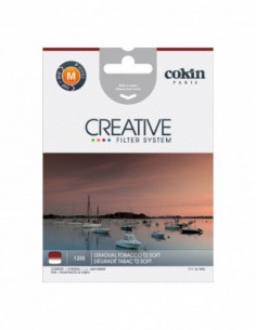 Filter X125S Gradual...