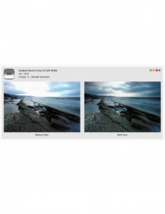 Filter X121S Neutral Grey...