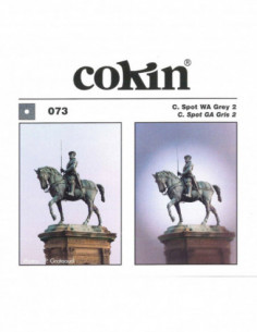 Filter X073 C.Spot WA Grey 2