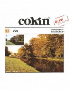 Filter X029 Orange (85A)