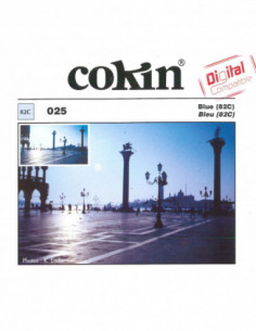 Filter X025 Blue (82C)