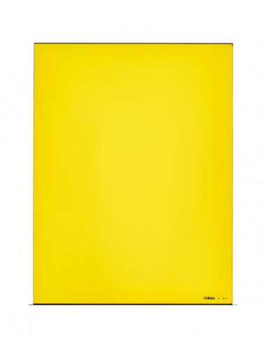 Filter X001 Yellow