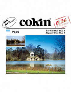 Filter P666 Gradual Fluo...