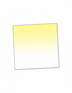 Filter P660 Gradual Fluo...