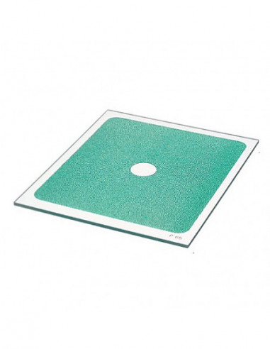 Filter P065 C.Spot Green