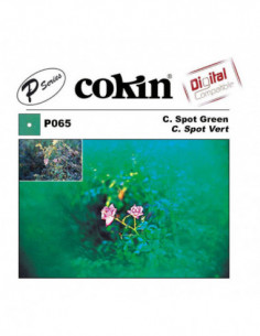 Filter P065 C.Spot Green 2
