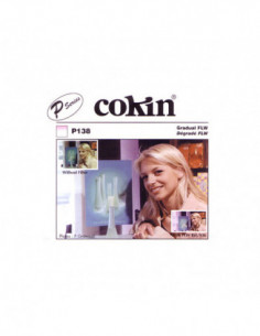 Filter P138 Gradual FLW