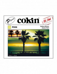 Filter P006 Yellow Green