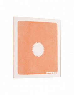 Filter A076 C.Spot WA Orange