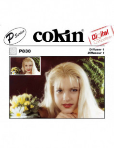 Filter P830 Diffuser 1