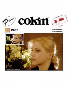 Filter P695 Champagne
