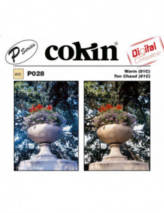 Filter P028 Warm (81C)