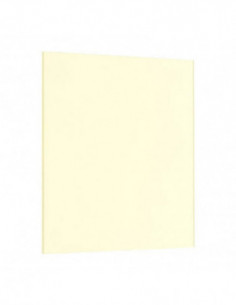 Filter P721 Yellow CC (CC10Y)