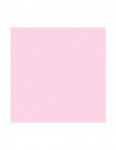 Filter P710 Magenta CC (CC05M)