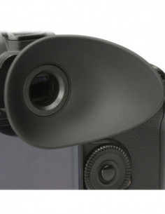 HoodEye Brildragers Canon...