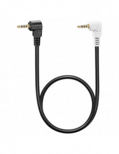 Terminal Line for P1