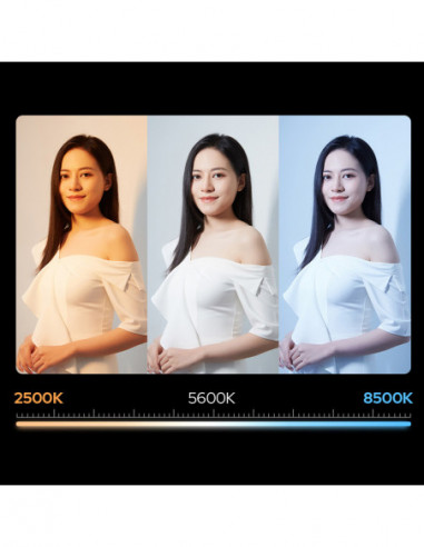 LC1000 LED Light Stick Bi Color