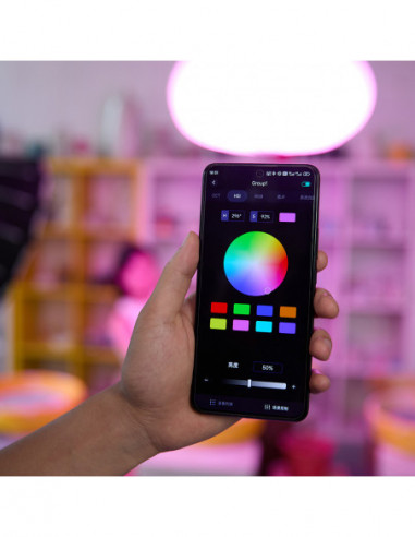 Litemons LA300R RGB LED Video Light 2...