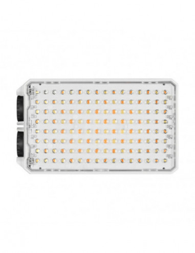 C30BI LITEMONS Bi color Pocket LED...