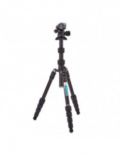 Punks Corey 2.0 with Airhed...