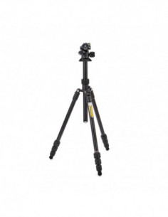 Punks Travis 2.0 with...