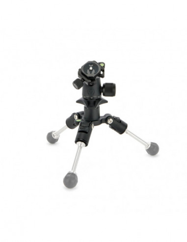 Punks Travis 2.0 with Airhed Neo 2.0...