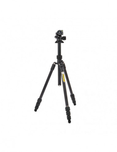 Punks Travis 2.0 with Airhed Neo 2.0...