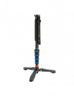 Punks Taylor 2.0 Magnesium...