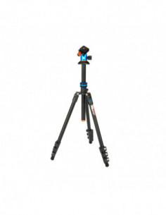 Punks Patti 2.0 & AirHed...