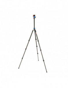 Punks Patti 2.0 & AirHed... 2