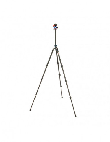 Punks Patti 2.0 & AirHed Blue & Black