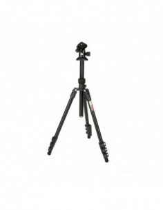 Punks Patti 2.0 & AirHed...