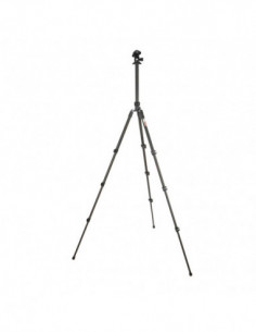 Punks Patti 2.0 & AirHed... 2