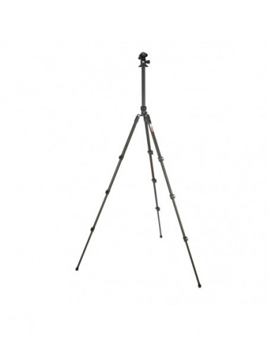 Punks Patti 2.0 & AirHed Darkness