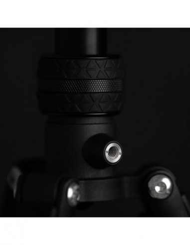 Punks Patti 2.0 & AirHed Darkness