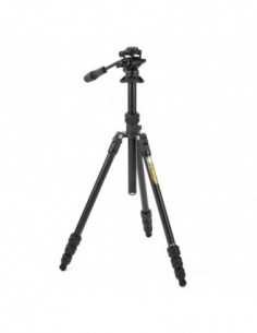 Punks Travis 2.0 & Airhed...