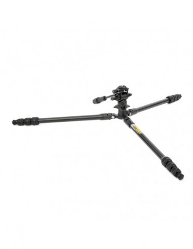 Punks Travis 2.0 & Airhed Trinity...