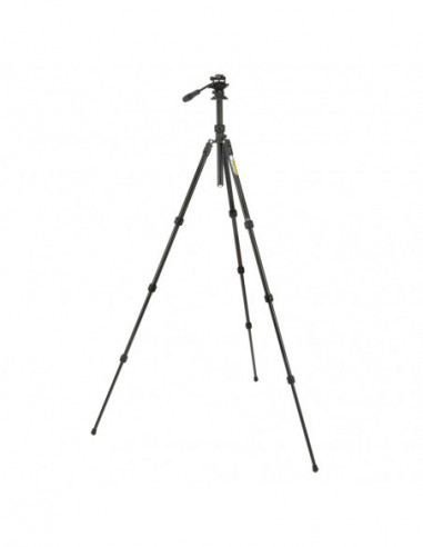 Punks Travis 2.0 & Airhed Trinity...