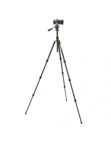 Punks Travis 2.0 & Airhed Trinity...