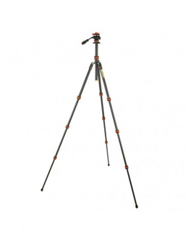 Punks Travis 2.0 & Airhed Trinity...