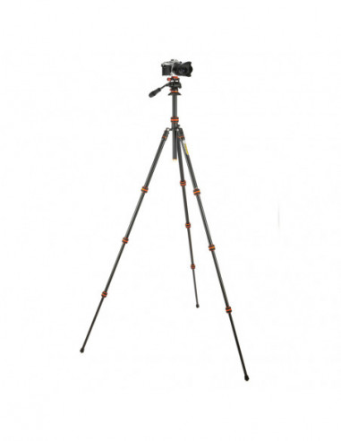 Punks Travis 2.0 & Airhed Trinity...