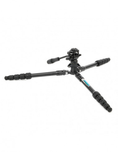 Punks Corey 2.0 with Airhed Trinity...