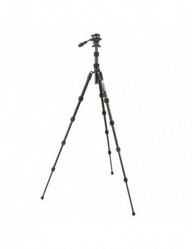 Punks Corey 2.0 with Airhed Trinity...