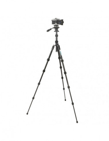 Punks Corey 2.0 with Airhed Trinity...