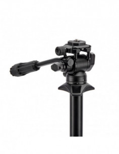 Punks Billy 2.0 with Airhed... 2