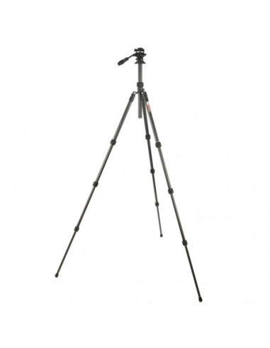 Punks Billy 2.0 with Airhed Trinity...