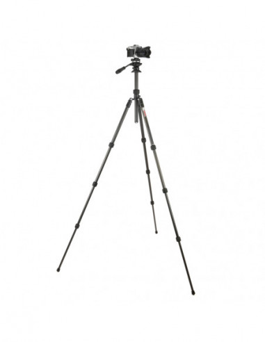 Punks Billy 2.0 with Airhed Trinity...