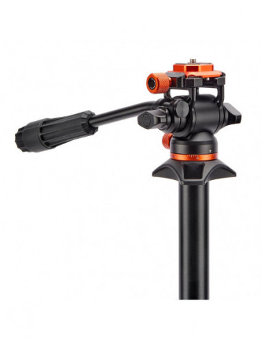 Punks Billy 2.0 with Airhed Trinity...