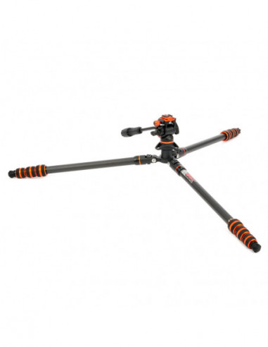 Punks Billy 2.0 with Airhed Trinity...